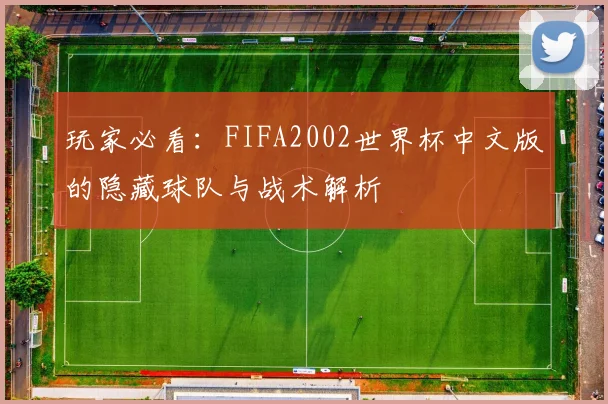 玩家必看：FIFA2002世界杯中文版的隐藏球队与战术解析